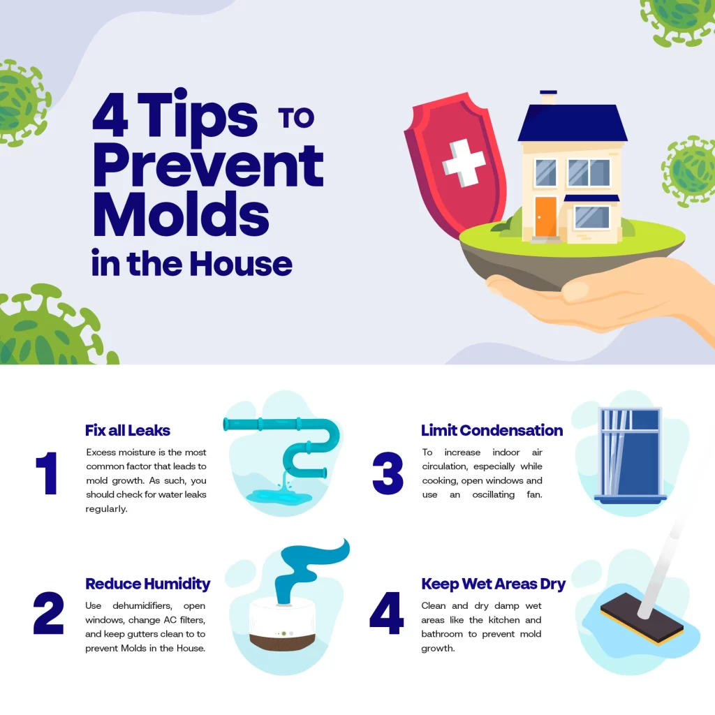 7 Bathroom Mold Prevention Ideas to Keep Your Home Safe