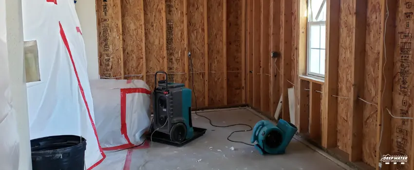 A room with two air movers and a blue machine
