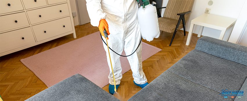 A person in white suit holding a hose and spray bottle.