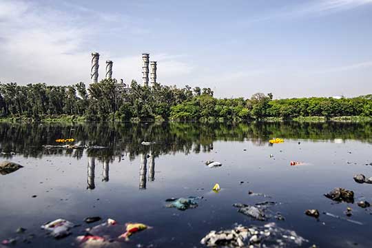 A body of water with trees and garbage floating in it.