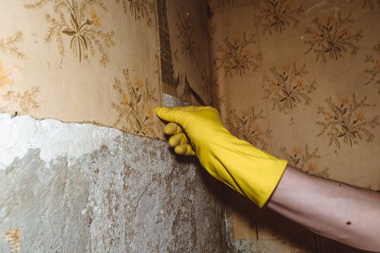 A hand in yellow gloves is holding on to the wall.