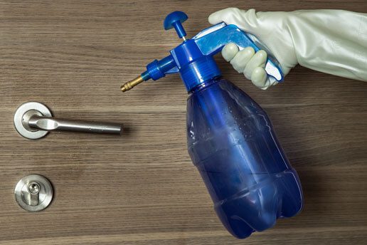 A person holding a spray bottle with a hose attachment.