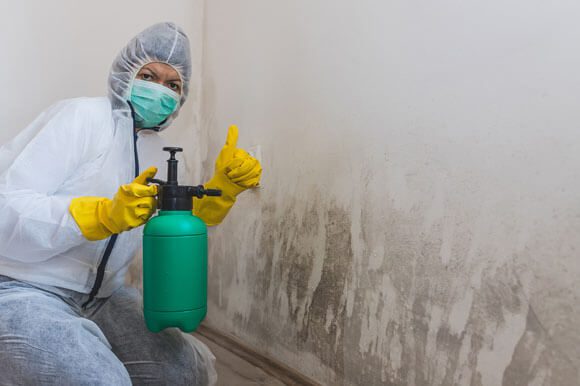 A disinfector holding a green spray bottle giving a thumbs up before working on the moldy wall