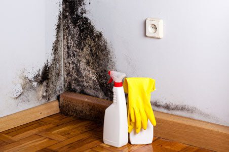 A spray bottle and yellow gloves on the floor