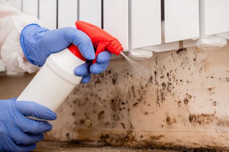 DWESR Mold Removal Experts in Littleton, CO