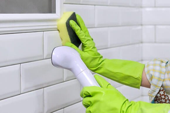 DWESR Mold Removal Experts in Thorton, CO