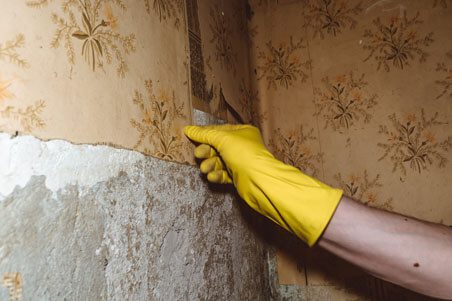 A yellow-gloved hand checking on deteriorating wallpaper.