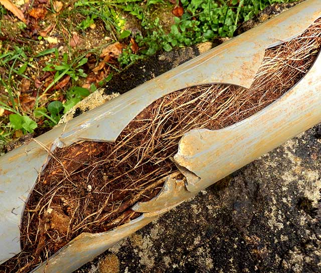 A pipe with some branches on it