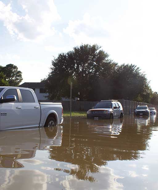DWESR sewage flood Sewage Cleanup Fort Worth TX